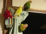 07021103.jpg