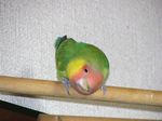 07071003.jpg