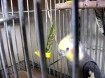 07080303.jpg
