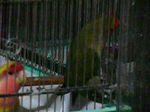 07090501.jpg