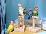 08041401.jpg