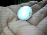 08060702.jpg