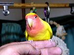 08082501.jpg