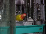 081107a2.jpg