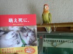 09012291.jpg