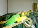 09012301.jpg