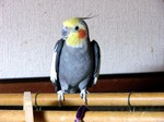 09031401.jpg
