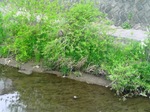 09042401.jpg