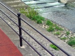 09042405.jpg