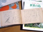 09042603.jpg