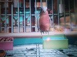 09052102.jpg