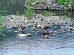 09052605.jpg