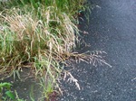 09052809.jpg