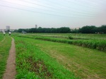 09071104.jpg