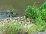09080601.jpg