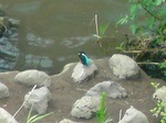 09080602.jpg