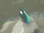 09080603.jpg