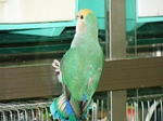 090813ra.jpg