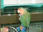 090813re.jpg