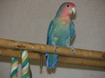 090813re2.jpg
