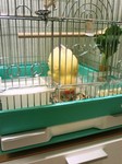 09101701.jpg
