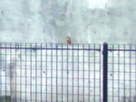 09122601.jpg